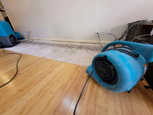 Professional Burst Pipe Water Damage technician working in Dresden, TN
